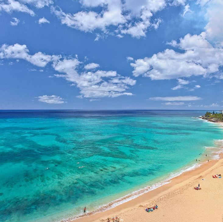 snorkeling in oahu with fish and sea turtles