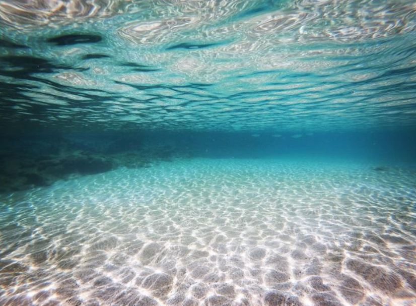 shark's cove snorkeling spots
