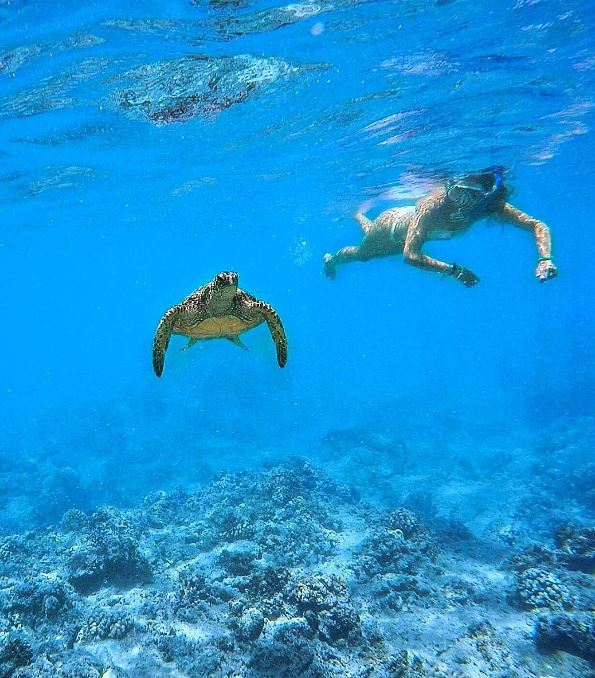 best snorkeling by sans souci beach