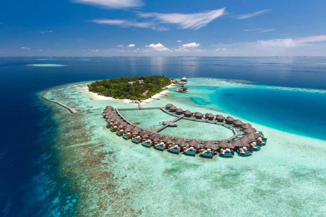 palm island resort