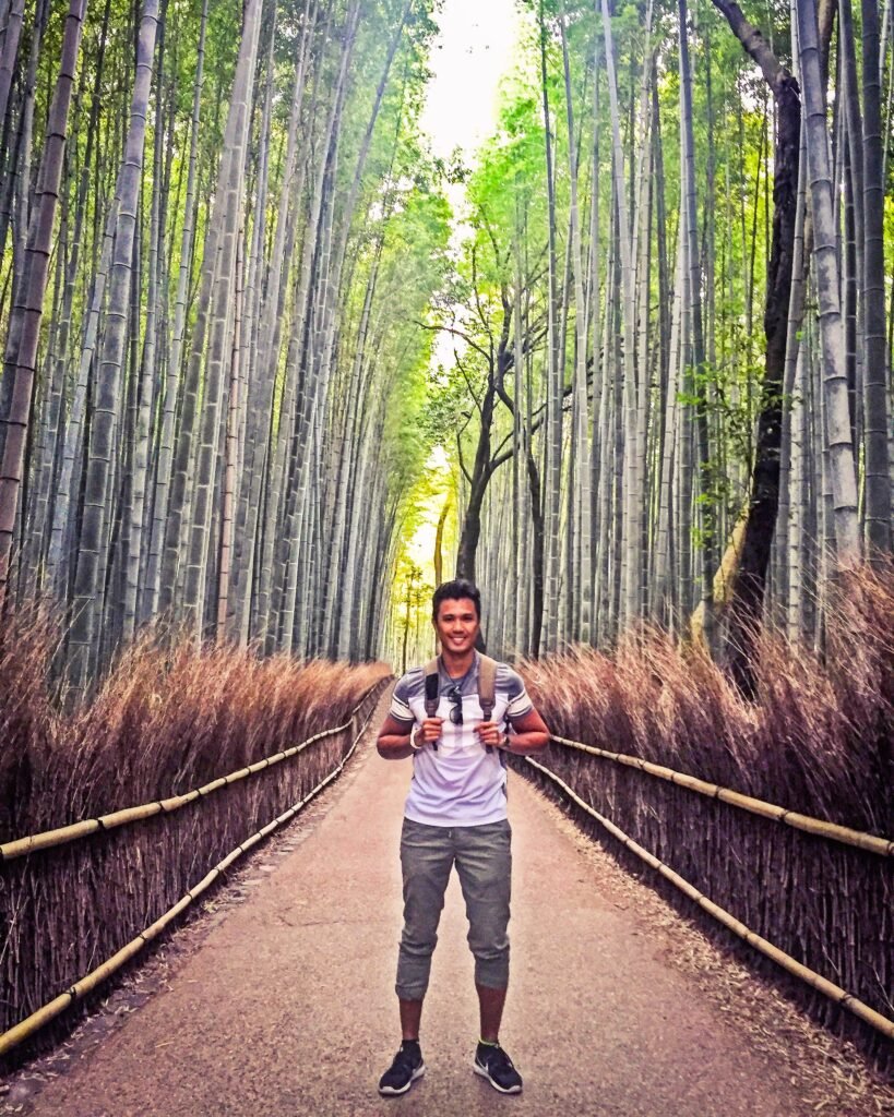 arashiyama bamboo forest japan