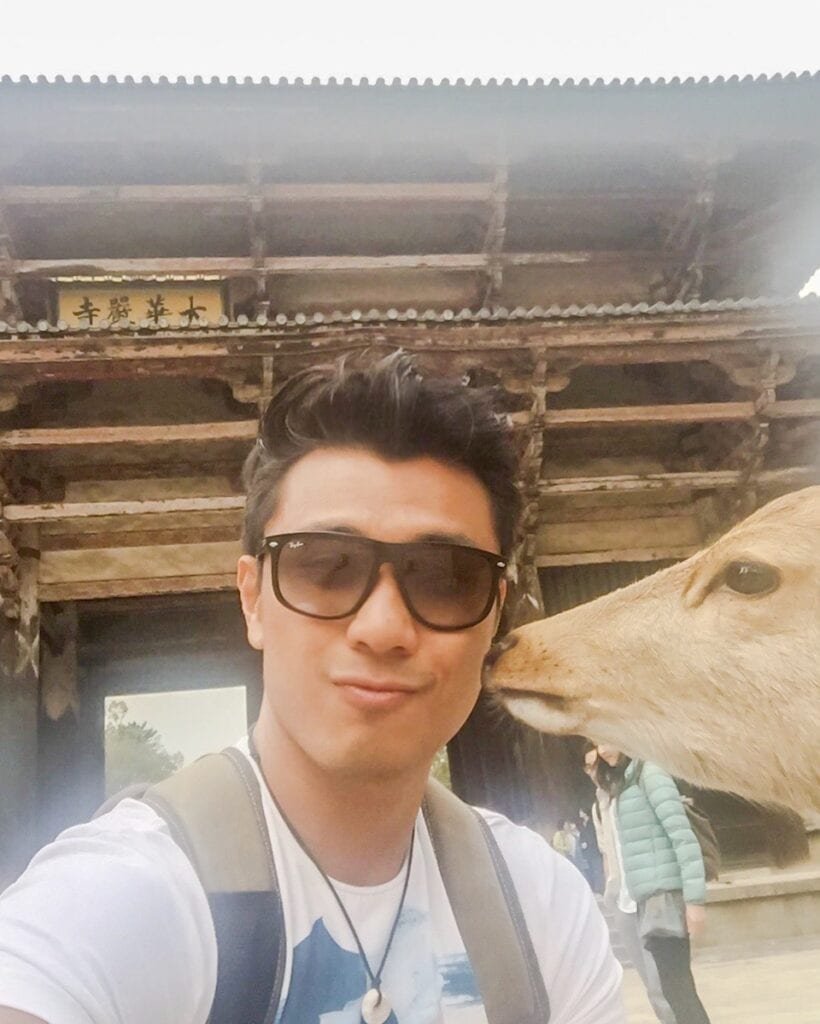 nara deer park japan