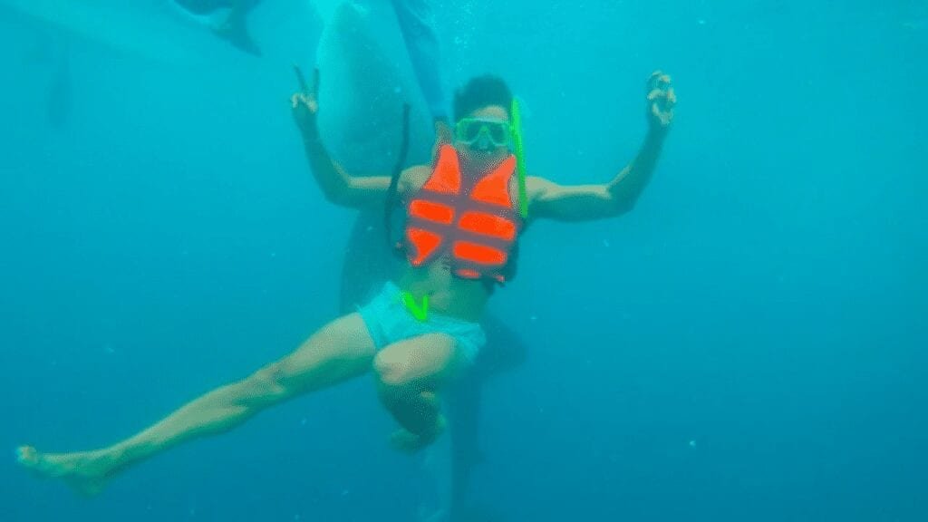 swimming with the whale sharks oslob cebu philippines
