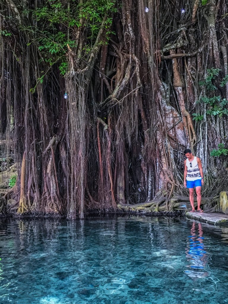 balete tree siquijor philippines
