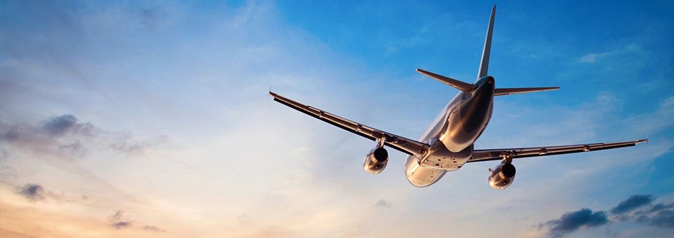 Service and Support Animals Get Tighter Screening with Delta Airlines
