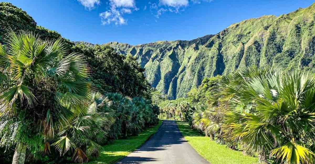 Where to Stay in Oahu  – Best Area to Stay in 2020